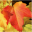 Logo de Seniorenzentrum Wier